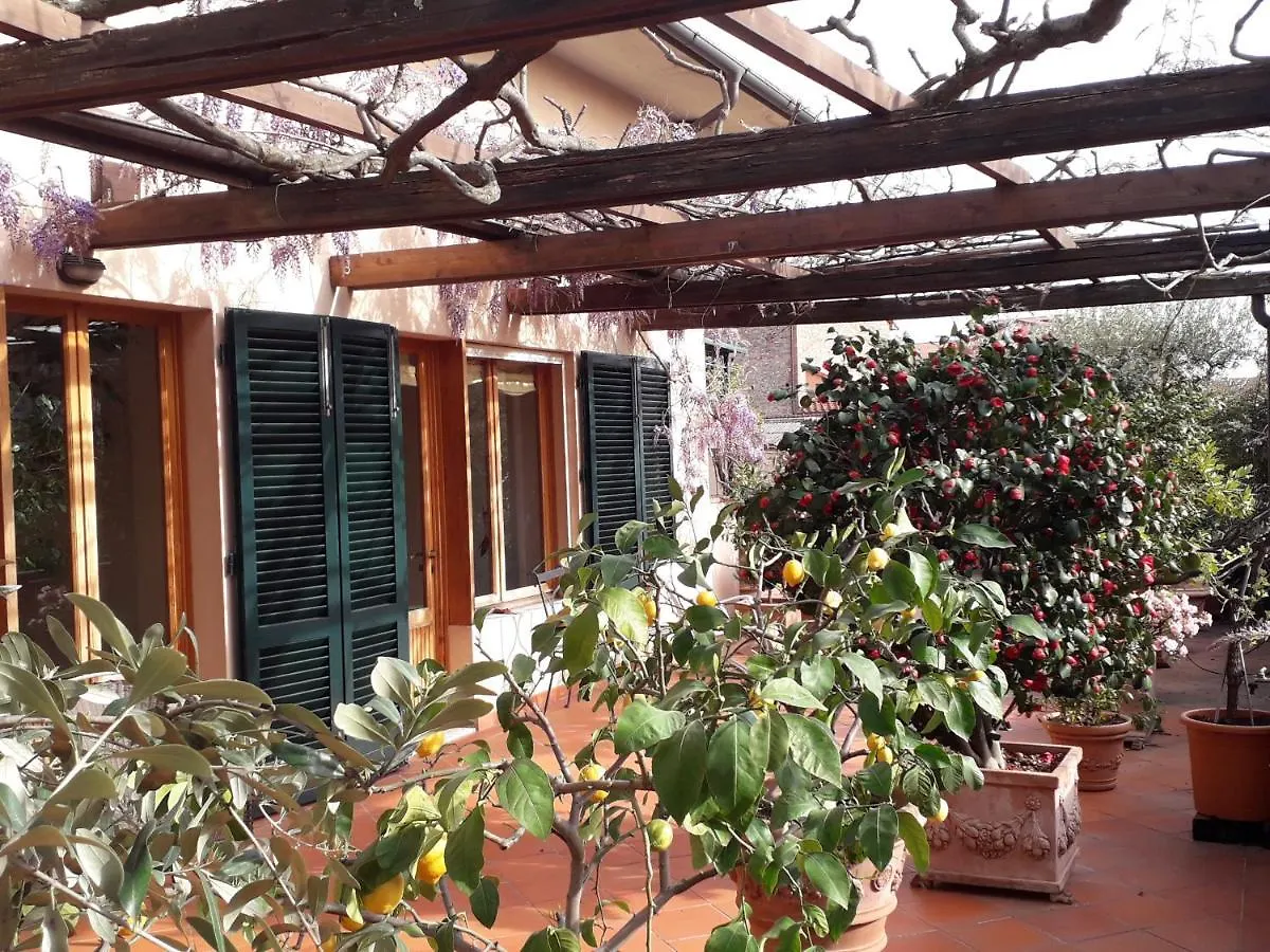 Bed & Breakfast Il Conte B&B Pistoia